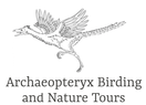 Archaeopteryx Birding and Nature Tours